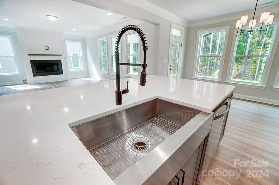 Stainless Steel Farmhouse sink and upgraded spring faucet