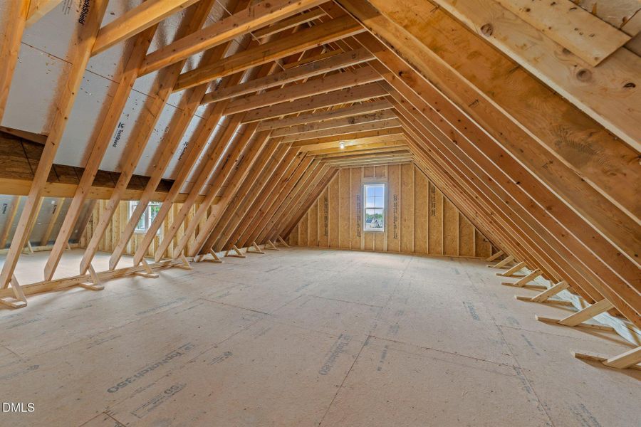 28-web-or-mls-3D5A2114