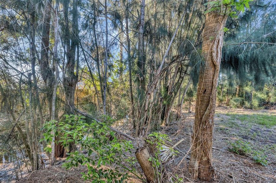 Natural landscape and outdoor views near  in New Smyrna Beach (Image 35).