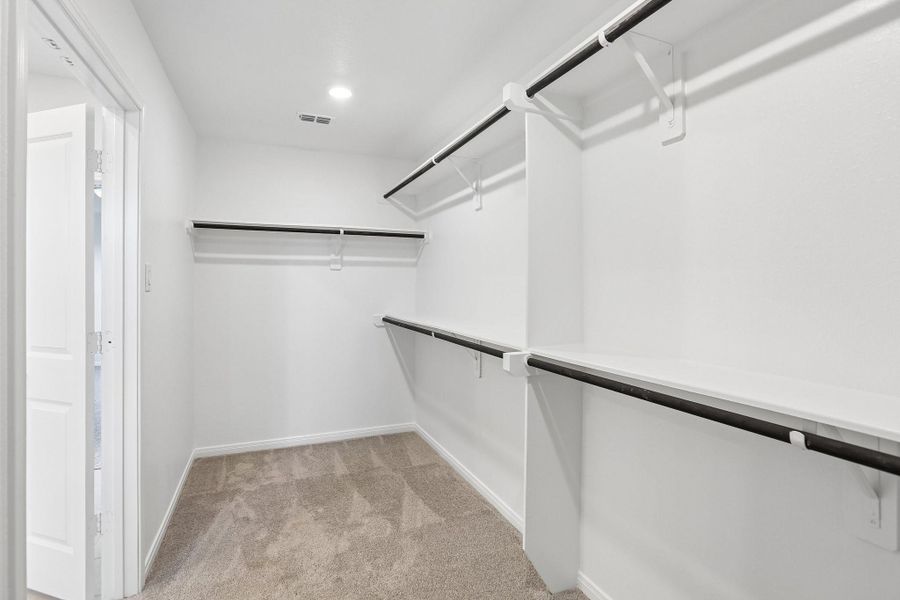 Spacious, unfurnished interior of a new home in Aldeana - Paintbrush Collection, Bonney (Image 34).