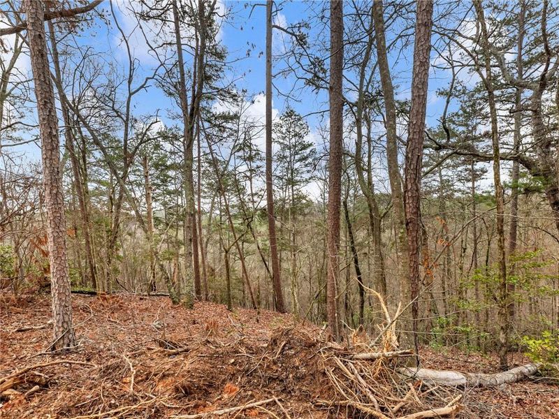 Natural landscape and outdoor views near  in Lula (Image 36).