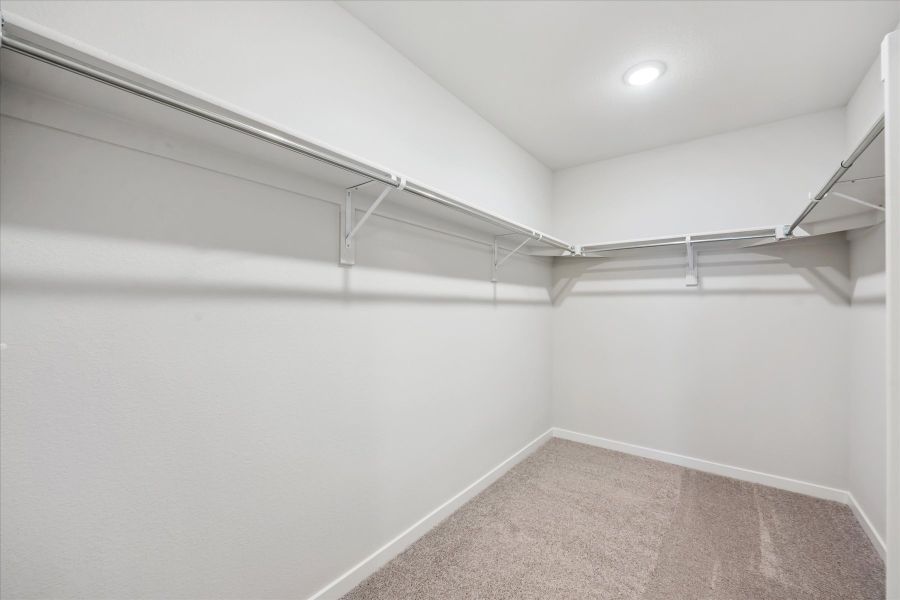 A white hallway with a carpet.