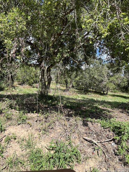 Natural landscape and outdoor views near  in Floresville (Image 7).
