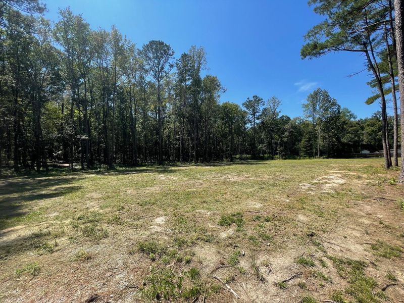 Natural landscape and outdoor views near  in Summerville (Image 19).