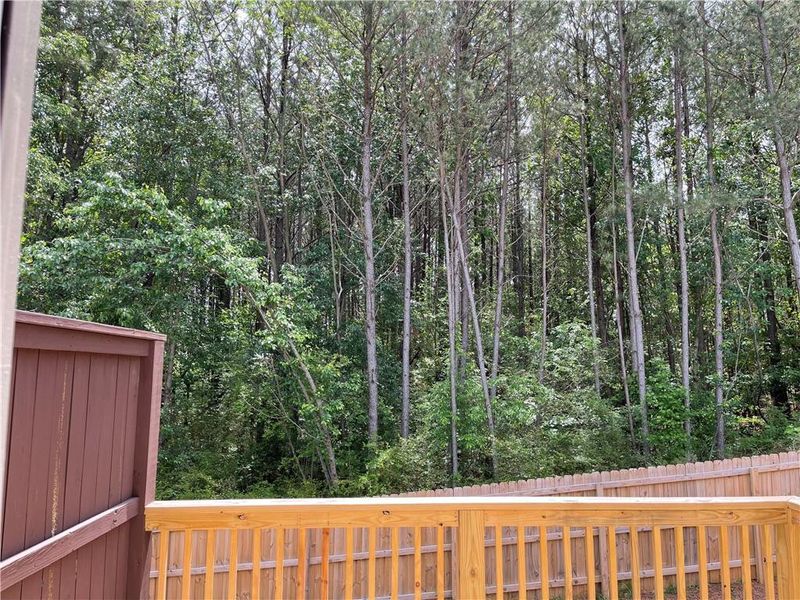 Exterior details and patio area of a home in The Collection at Wolf Creek, Lawrenceville (Image 3).