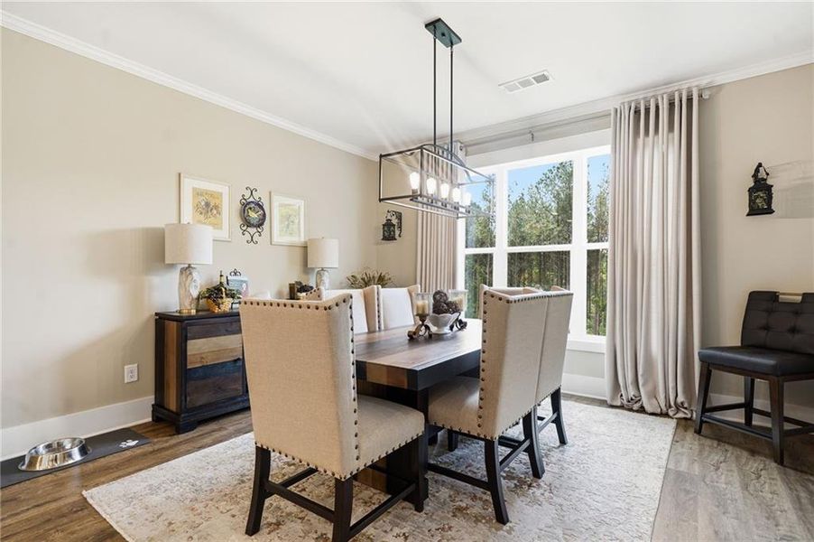 Furnished interior view inside a new home in , Canton (Image 19).