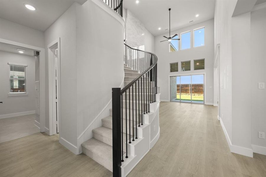 1202 Flock- Entry-2 1202 Flock- Entry-2