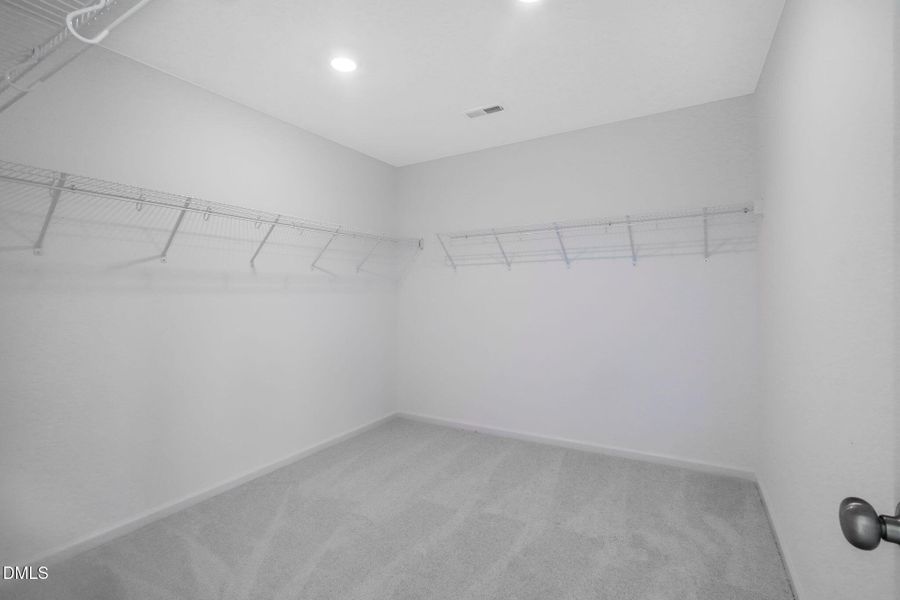 SUN_WesleyDowns_Pic_Davidson-28