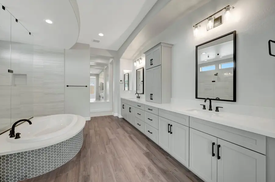 Owner's Bath