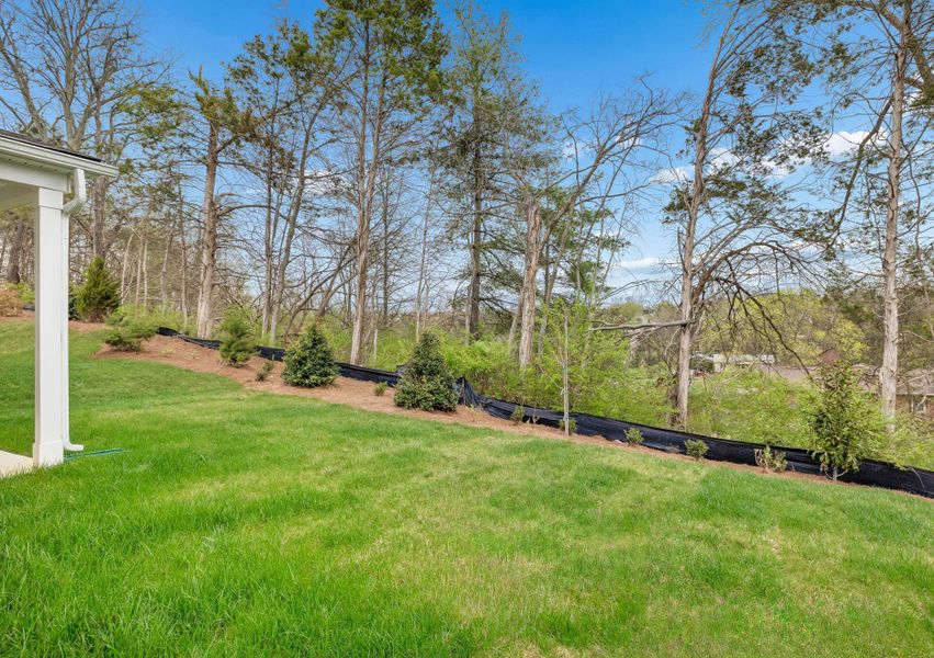 Natural landscape and outdoor views near Devonshire in Mount Juliet (Image 52).