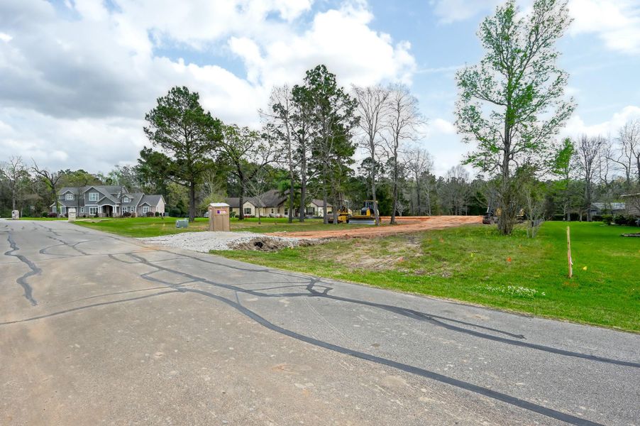 Natural landscape and outdoor views near  in Willis (Image 16).