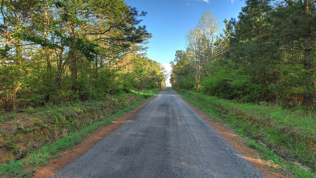 Natural landscape and outdoor views near The Bluffs at Mill Creek in Florence (Image 24).