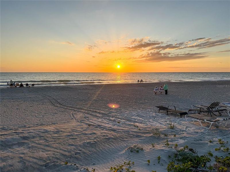Natural landscape and outdoor views near  in Longboat Key (Image 30).