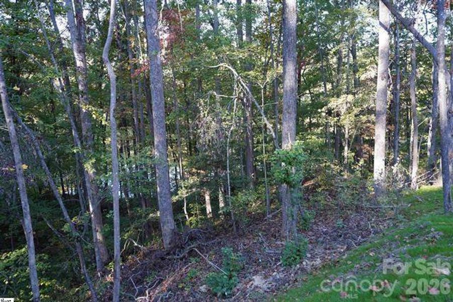 Natural landscape and outdoor views near  in Travelers Rest (Image 32).