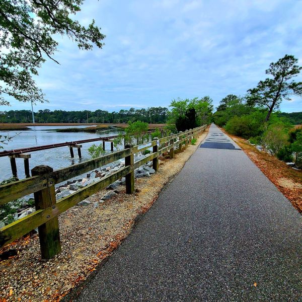 Natural landscape and outdoor views near  in Charleston (Image 26).