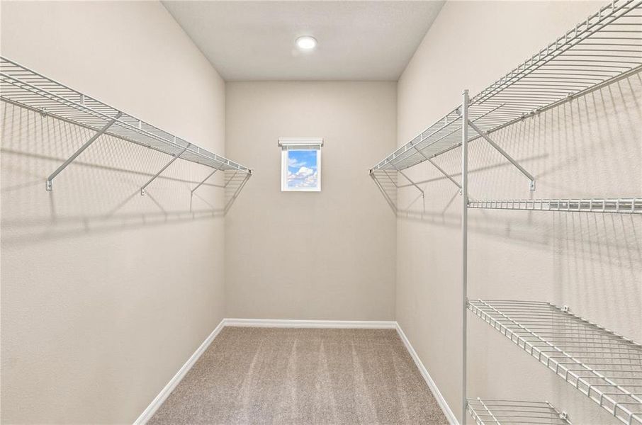 Spacious, unfurnished interior of a new home in , St. Cloud (Image 12).