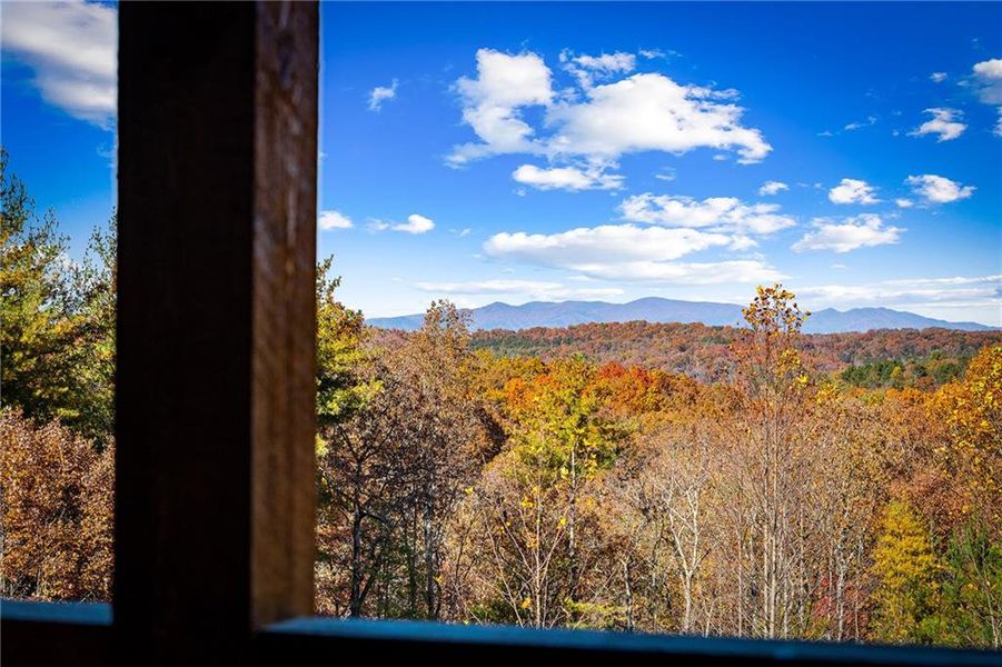 Natural landscape and outdoor views near  in Blue Ridge (Image 39).
