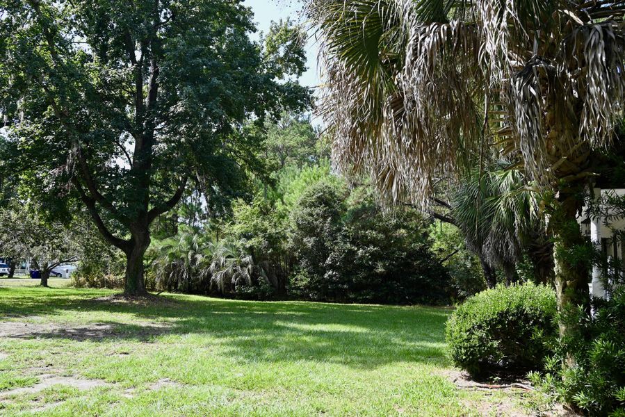 Natural landscape and outdoor views near  in Mount Pleasant (Image 9).