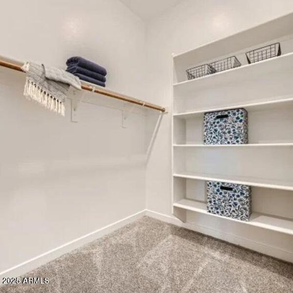 Owners Walk in Closet