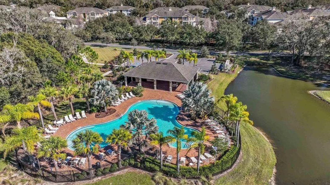 Community amenities in , Zephyrhills (Image 48).