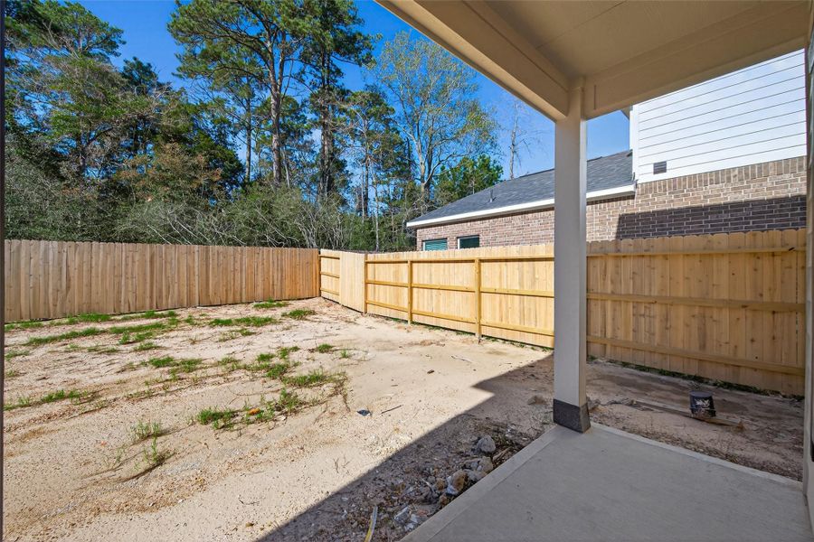 Exterior details and patio area of a home in Enclave at Willis, Willis (Image 27).