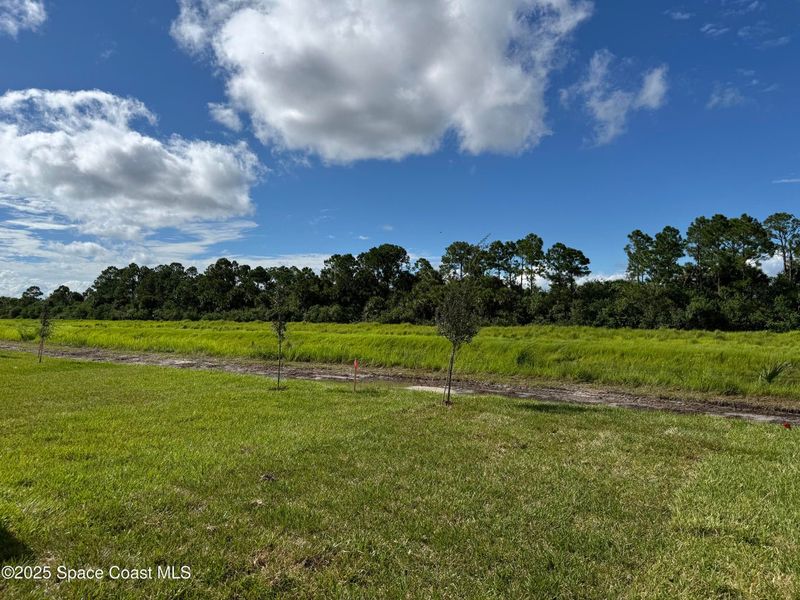 Natural landscape and outdoor views near St. John Preserve in Palm Bay (Image 18). Natural landscape and outdoor views near St. John Preserve in Palm Bay (Image 18).