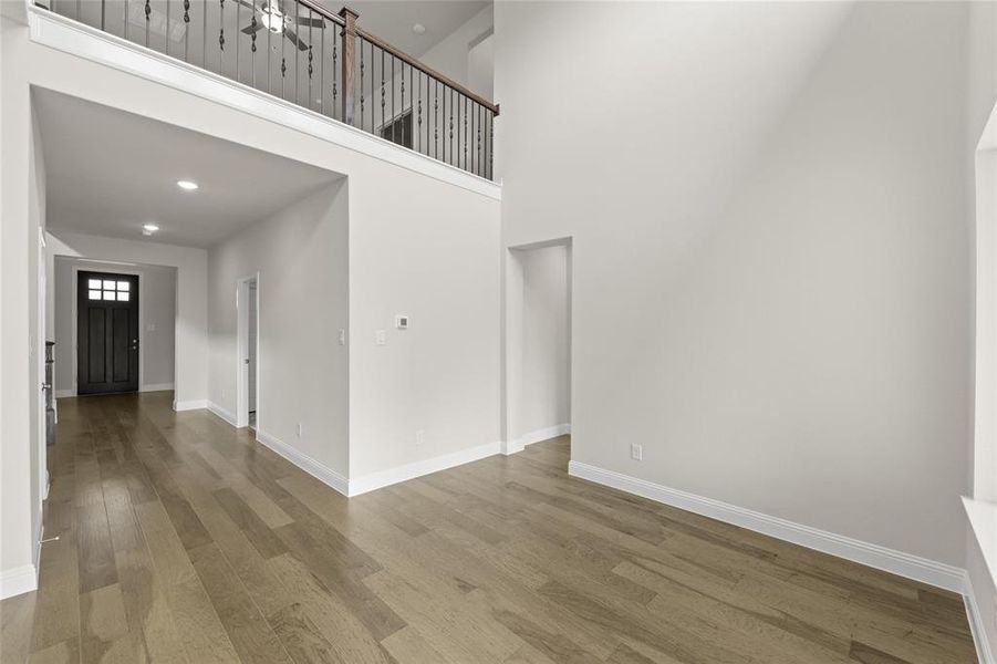 09_Grapevine II_Representative Photo