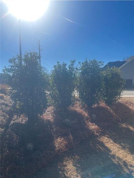 Natural landscape and outdoor views near Courtyards at Traditions in Cumming (Image 41).