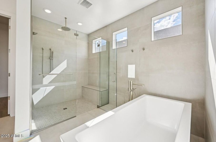 Primary Bathroom View C