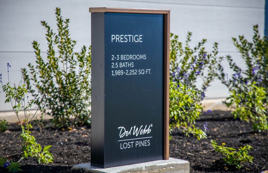 Representative exterior details of a home built from the Prestige by Del Webb in Del Webb Austin at Lost Pines, Bastrop (Image 37).
