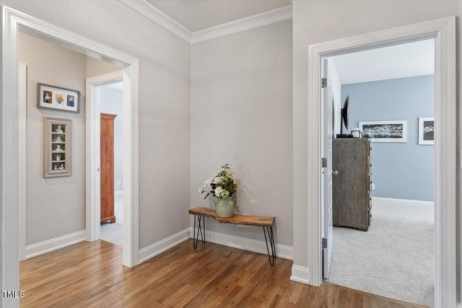 40-1017 Whitehall Cir [2489656]_40