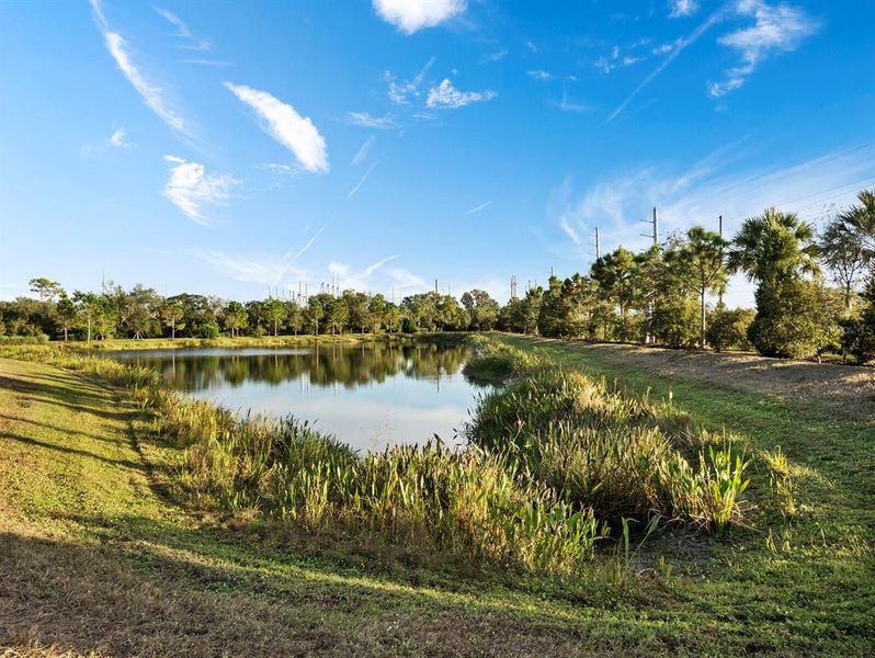 Natural landscape and outdoor views near  in Sarasota (Image 48).