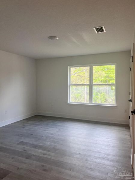 Spacious, unfurnished interior of a new home in Blossom Grove, Milton (Image 13).