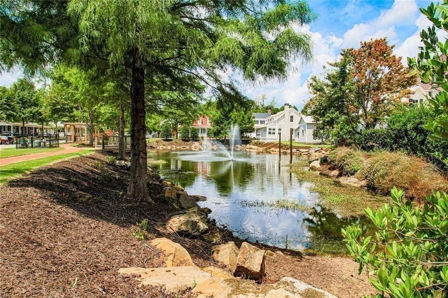 Natural landscape and outdoor views near  in Senoia (Image 13).
