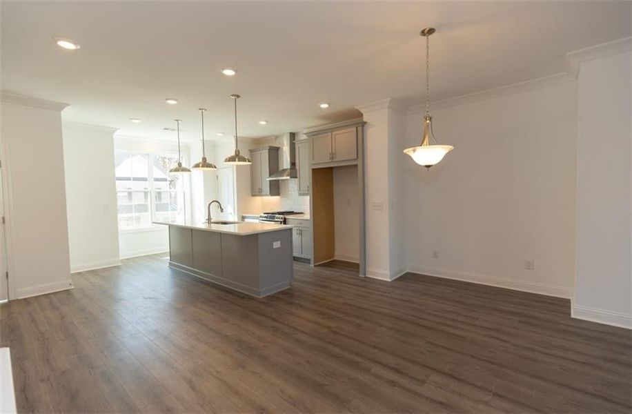 This floor is super spacious with dining area, family room, and kitchen.  An additional power room is also conveniently located on this floor. Photo for representation purposes only, not of actual home but a  previously built TPG home.