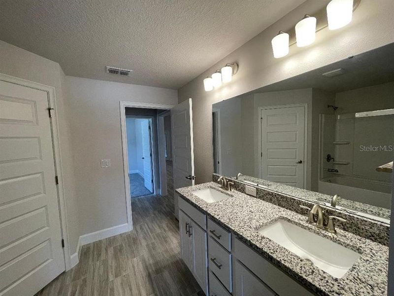 Jack & Jill Bathroom