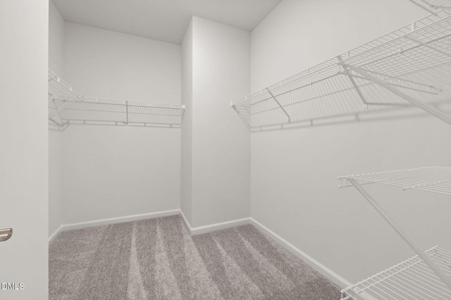 17-web-or-mls-DX3A0704