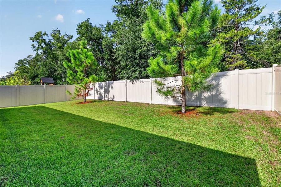 Exterior details and patio area of a home in , Mount Dora (Image 22).