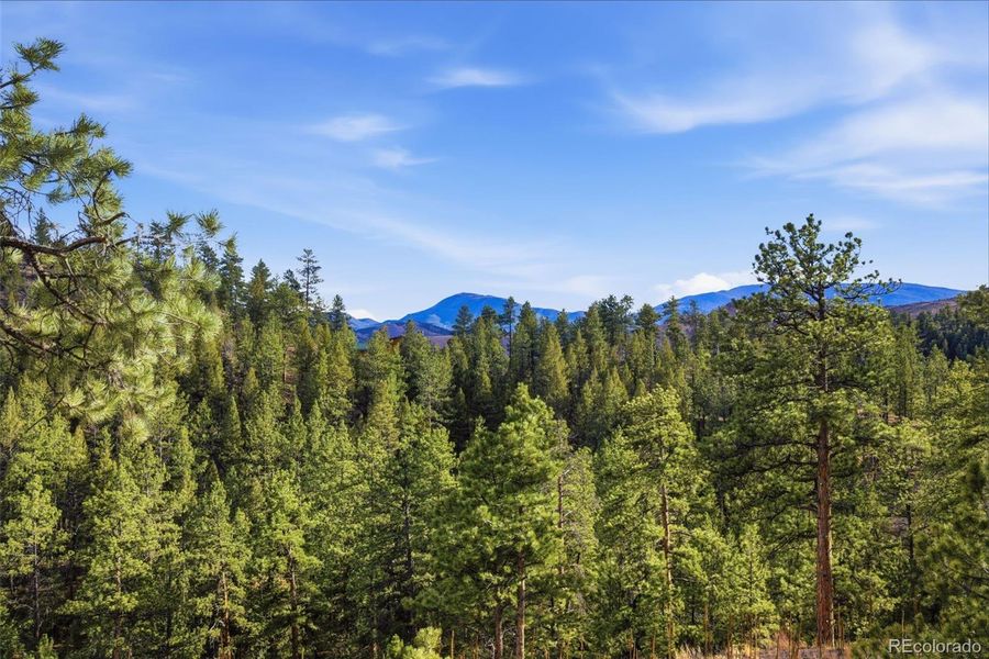 Natural landscape and outdoor views near  in Pine (Image 38).