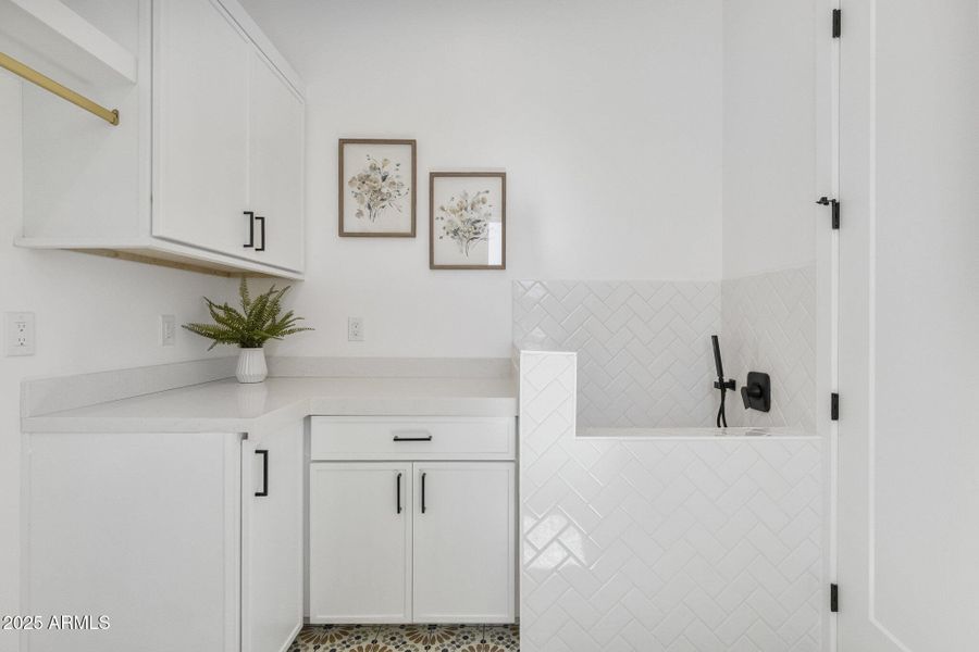 Laundry Room Pet Bath