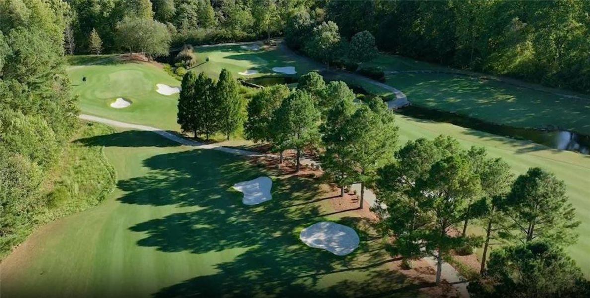 Natural landscape and outdoor views near  in Suwanee (Image 16).
