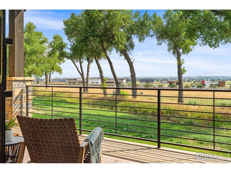 Exterior details and patio area of a home in , Timnath (Image 25).