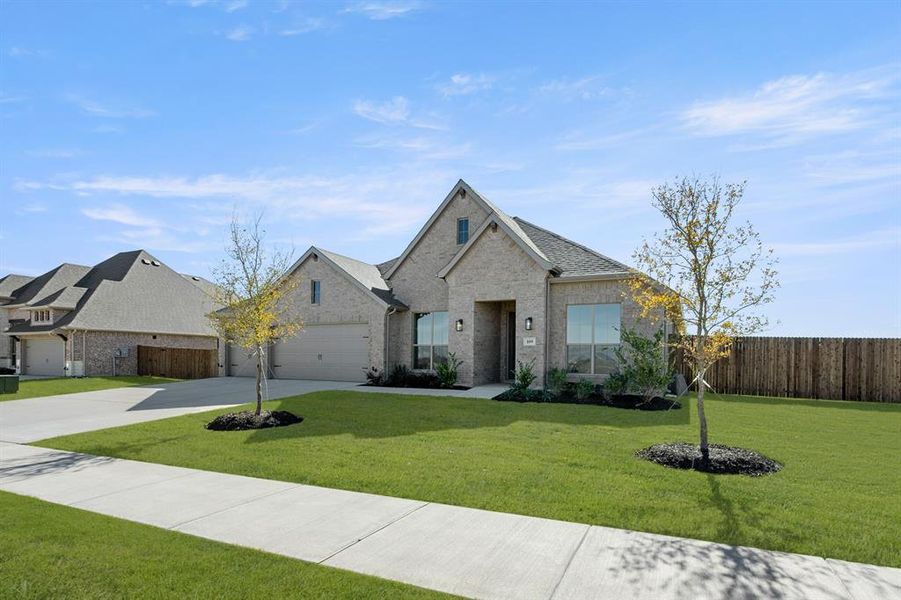 109 Grey Wolf- Front-2