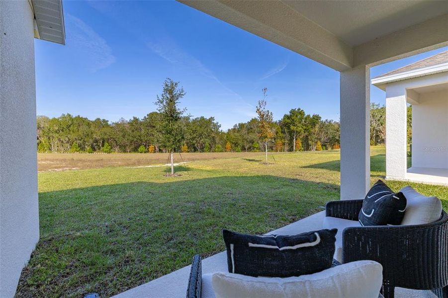 Exterior details and patio area of a home in Reserve at Hammock Oaks, Lady Lake (Image 3). Exterior details and patio area of a home in Reserve at Hammock Oaks, Lady Lake (Image 3).