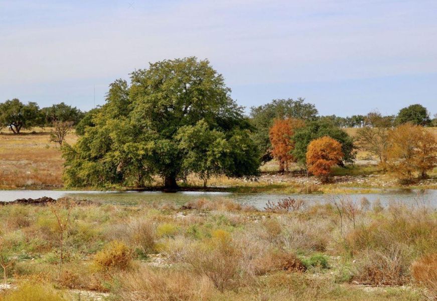 Pond at Lariat Pond at Lariat