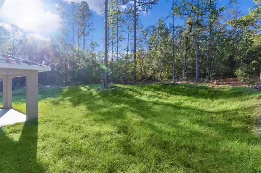 Exterior details and patio area of a home in , Citrus Springs (Image 4).