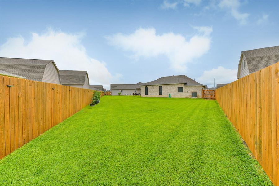 Backyard