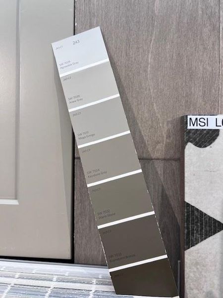 ACCENT PAINT SELECTIONS ACCENT PAINT SELECTIONS