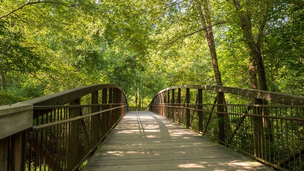 Image 28 representing the Robie by D.R. Horton in The Village at Sandy Plains, Marietta, GA.