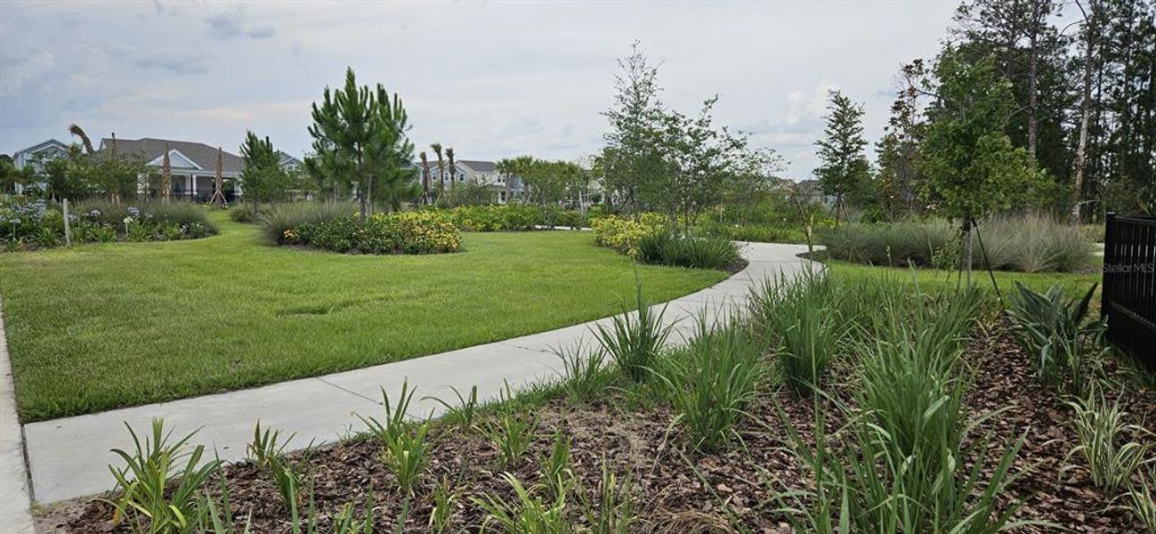 Natural landscape and outdoor views near  in Winter Garden (Image 27).